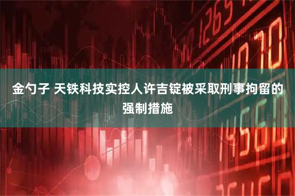 金勺子 天铁科技实控人许吉锭被采取刑事拘留的强制措施