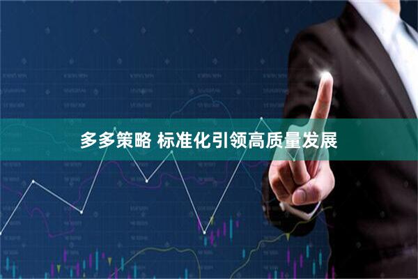 多多策略 标准化引领高质量发展